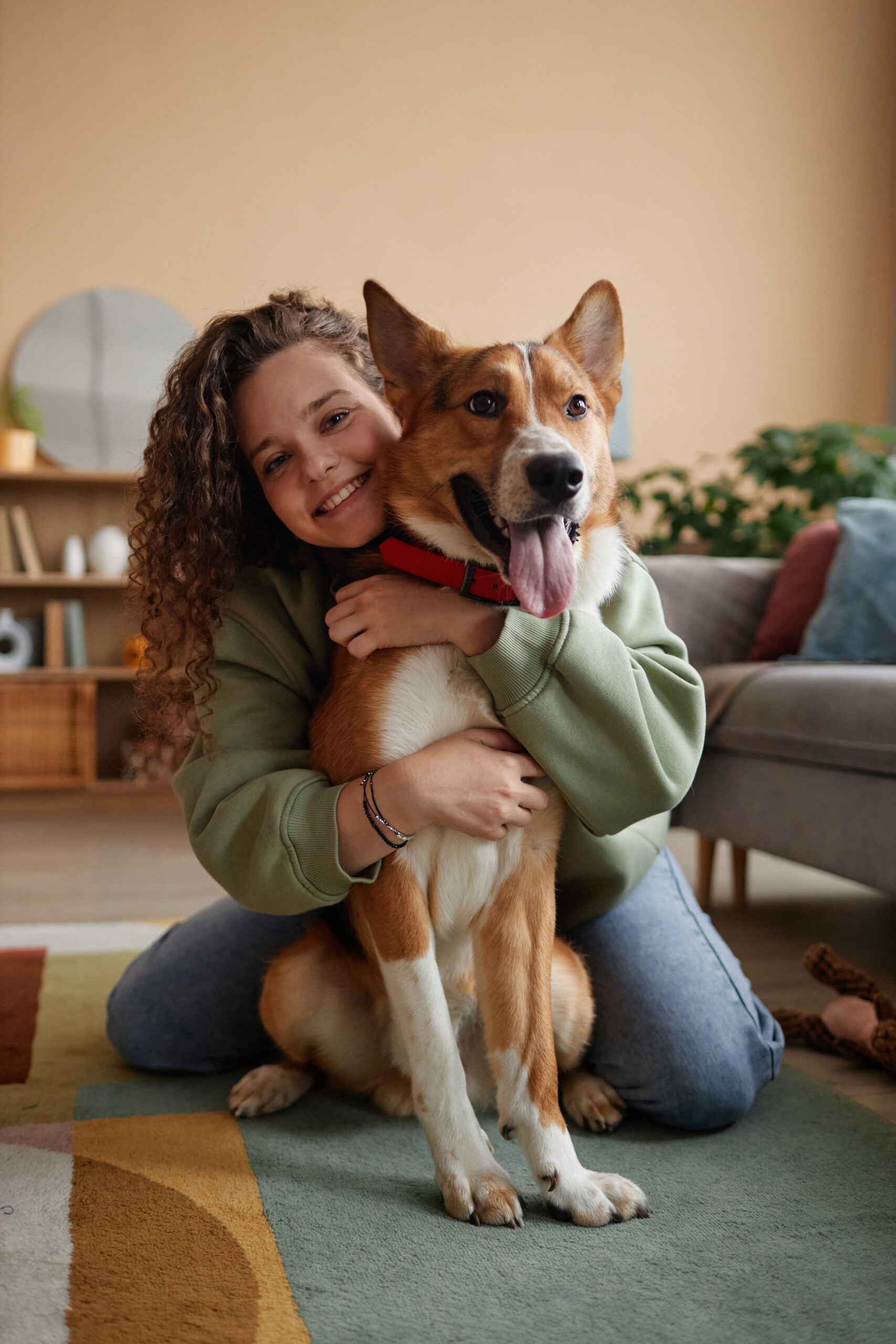 Contabilidade para empresas Pet/Vet